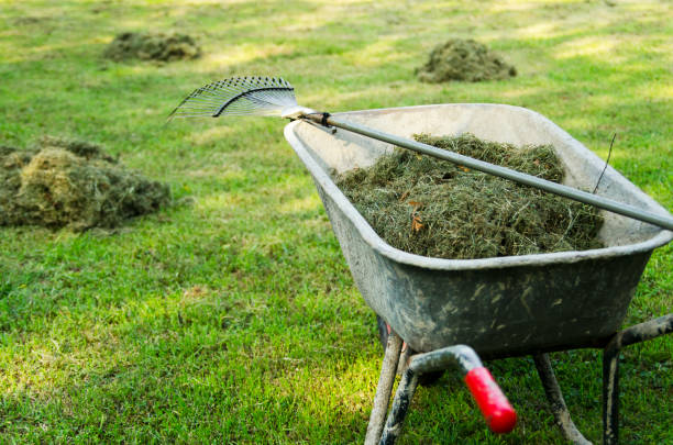 Collecting natural compost in barrow for field and food for stall