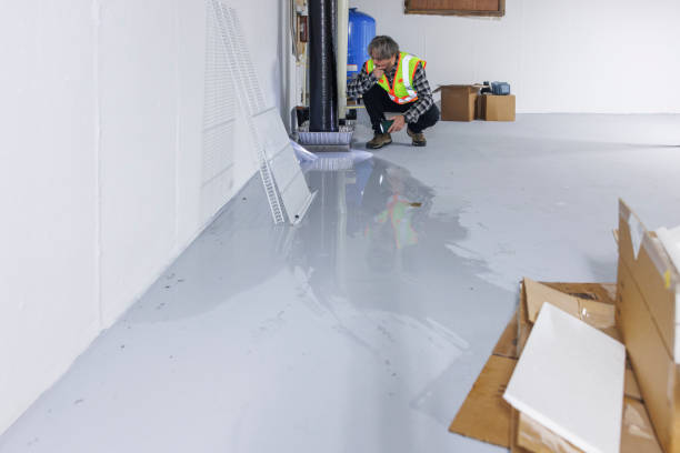 Insurance agent in safety vest, with smartphone, examining water pressure tank and purification system in flooded basement