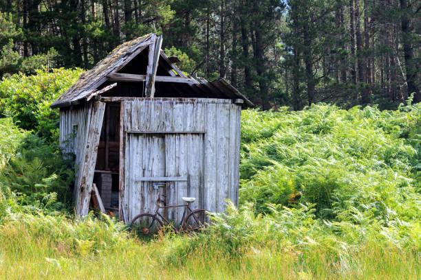 Derelict wooden shed with old bicycle leaning up by the door
